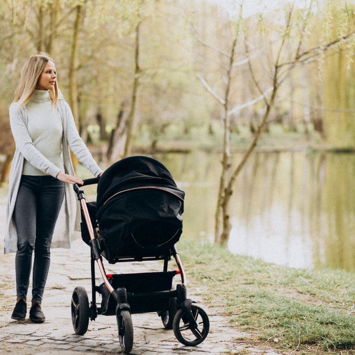 Neeva Carina Stroller & Neeva I-Size Infant Capsule Bundle – The Ultimate Travel System for Modern Parents