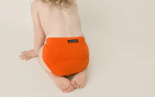 Snazzipants Daytime Training Pants *CLEARANCE*
