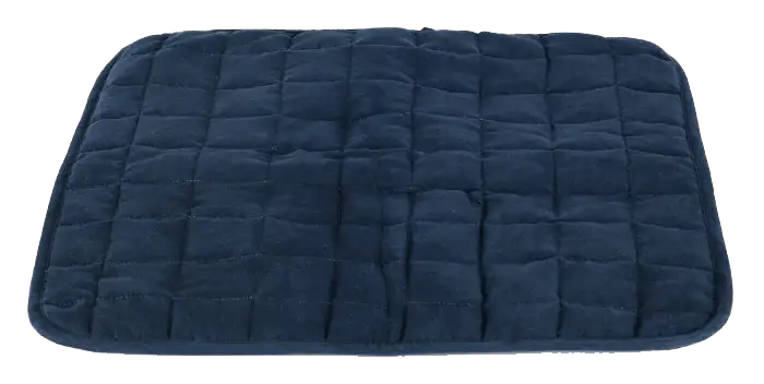 Brolly Sheets Waterproof Double Sided Chair Pad - Navy (Small) - Babyonline